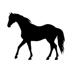 Elegant black horse silhouette running, isolated on a clean white background, perfect for graphic design and print.