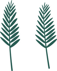 palm branch, palm leaves (Palm sunday)