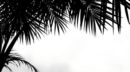 Summer design elements shadow tropical palm leaf overlay effect. Vector illustration. tree branch shadow on transparent background 