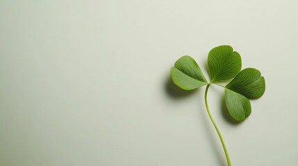 A close-up of a vibrant green clover leaf resting on a soft, neutral background, symbolizing luck and nature's beauty