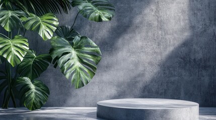 Concrete podium with tropical leaves.  Background display.  Suitable for product presentation