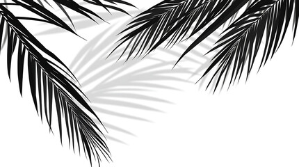 Obraz premium Summer design elements shadow tropical palm leaf overlay effect. Vector illustration. tree branch shadow on transparent background 