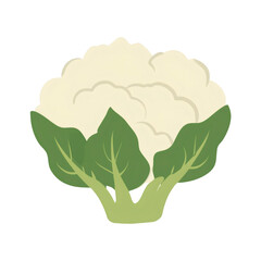 Fresh cauliflower with green leaves on transparent background