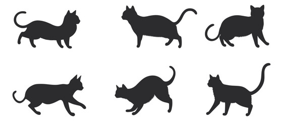 cute black cats silhouette on a white background. set of cat silhouette collection, Cats Silhouettes set. Cute cat silhouette set different various poses. 
