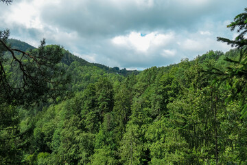 Obraz premium Dense forest of lush green trees stretches across hilly terrain. Serene natural landscape under cloudy sky. Kesselfallklamm, Semriach, Austria. Idyllic view showcases beauty of untouched wilderness