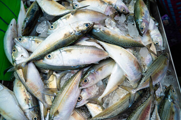 Obraz premium Tuna seafood fish sell in local fishery market
