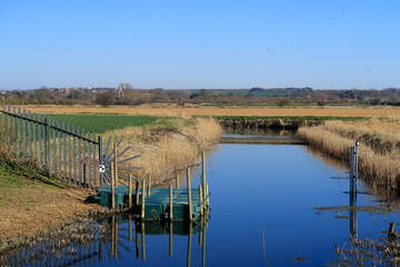A view of a small stream in the Minster landscape