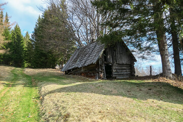 Old wooden cabin sits nestled among trees. Weathered logs and decaying roof telling tales of time. Located near Seinerkreuz, Packalpe, Austria. Rustic structure blends into serene mountain landscape
