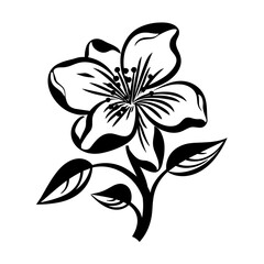 Elegant black and white floral illustration, perfect for botanical designs and decorative elements.