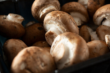 A closeup view of a pile of crimini mushrooms in a plastic container.