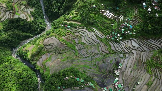 Aerial top view of picturesque Batad Rice Terraces in Ifugao Province, Luzon Island, Philippines, 4k