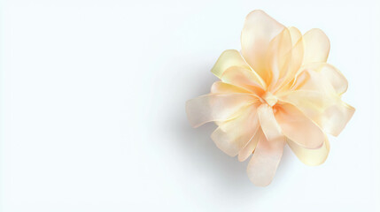 Fototapeta premium Elegant yellow organza ribbon bow on light background for decoration and design