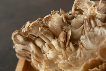 A closeup view of a maitake mushroom.