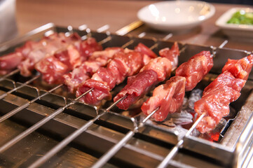 Chinese food. Grilled lamb skewers.