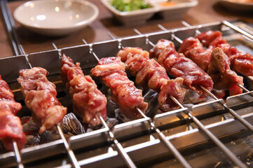 Chinese food. Grilled lamb skewers.