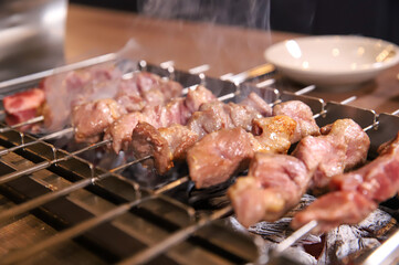 Chinese food. Grilled lamb skewers.
