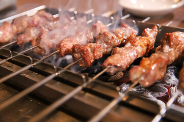 Chinese food. Grilled lamb skewers.