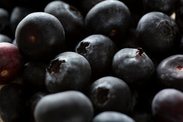 A closeup view of a pile of blueberries.