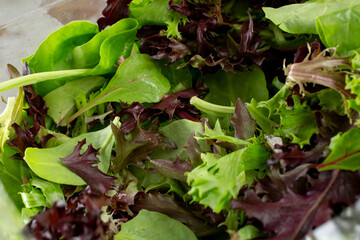 A closeup view of a mixed greens in a plastic container.
