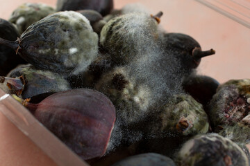 Obraz premium A closeup view of mold growing on some figs.