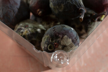 A closeup view of mold growing on some figs.