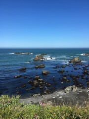 coast of the sea