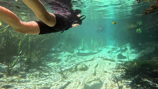 Pareja haciendo buceo con snorkel en el r&iacute;o Sucur&iacute;, Bonito MT, Brasil
