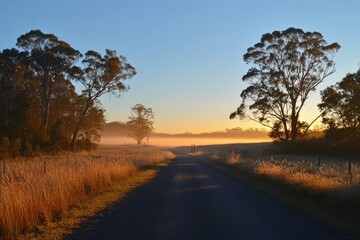 Fototapeta premium Country Road at Sunrise, Through a Misty Field