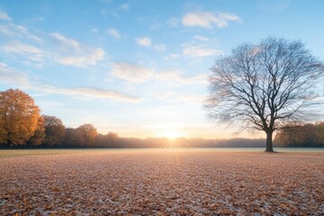 capture serene autumn landscape with fallen leaves blanketing ground distant sun casting golden light over scene and
