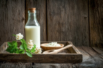 Obraz premium Traditional Fermented Dairy Drink with Kefir Grains and Mint