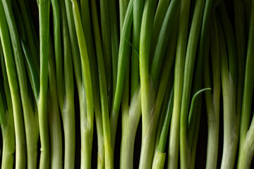 A top down view of a layer of scallions, as a background.