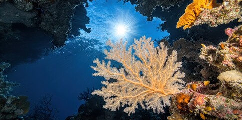 A colorful coral reef scene under a bright blue sunlit ocean