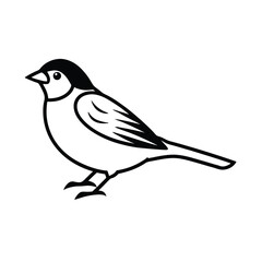 Fototapeta premium bird isolated on white background