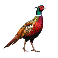 Fresh cannabis leaf bunch, multiple leaves, natural herbal, isolated transparent