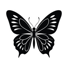 butterfly vector illustration