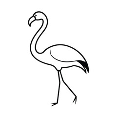 Fototapeta premium flamingo vector illustration