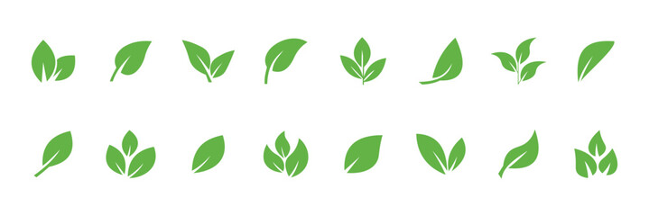 Green leaf icon collection. Tree and plant leaves. Leaf icons. Green leaves collection. Design elements for natural, eco, bio, vegan, greenhouse labels. Vector illustration.