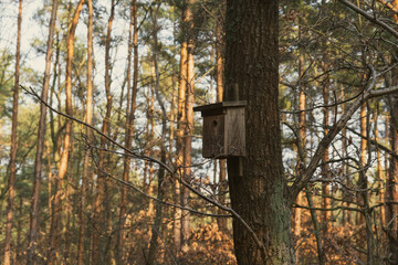 Bird house on a tree