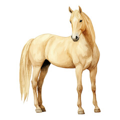Fototapeta premium A watercolor realistic, clean, and simple clipart of a beige horse on a white background