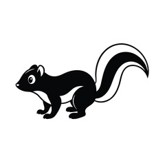 squirrel on a white background