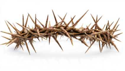 Crown of thorns  isolated on Transparent background. 