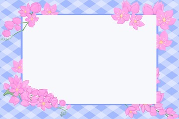 Mexican Creeper flower on Simple background