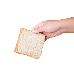 bread in hand isolated