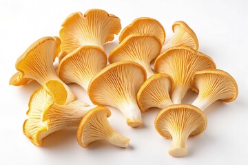 Fresh Chanterelle Mushrooms Arranged on a White Backdrop Generative AI
