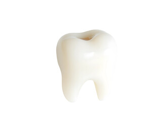 Isolated white molar tooth on a transparent background.