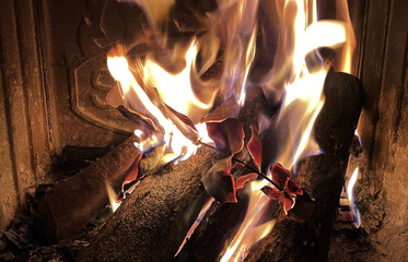 Burning firewood in a fireplace, closeup of photo.