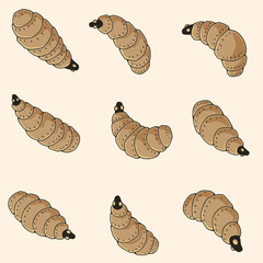 Maggot vector 