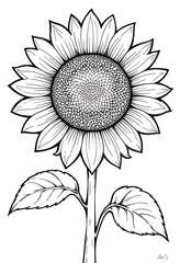 Fototapeta premium Detailed line art illustration of a stunning sunflower with intricate patterns and two leaves, showcasing its beauty and elegance in a black and white design, perfect for coloring books