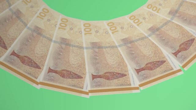 Elevated Looping Design 100 Krone Curency of Denmark