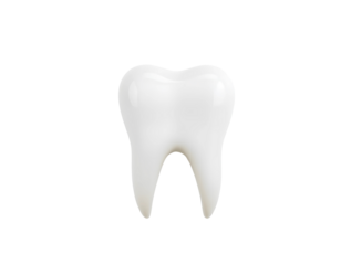 Isolated 3D Render of a White Tooth